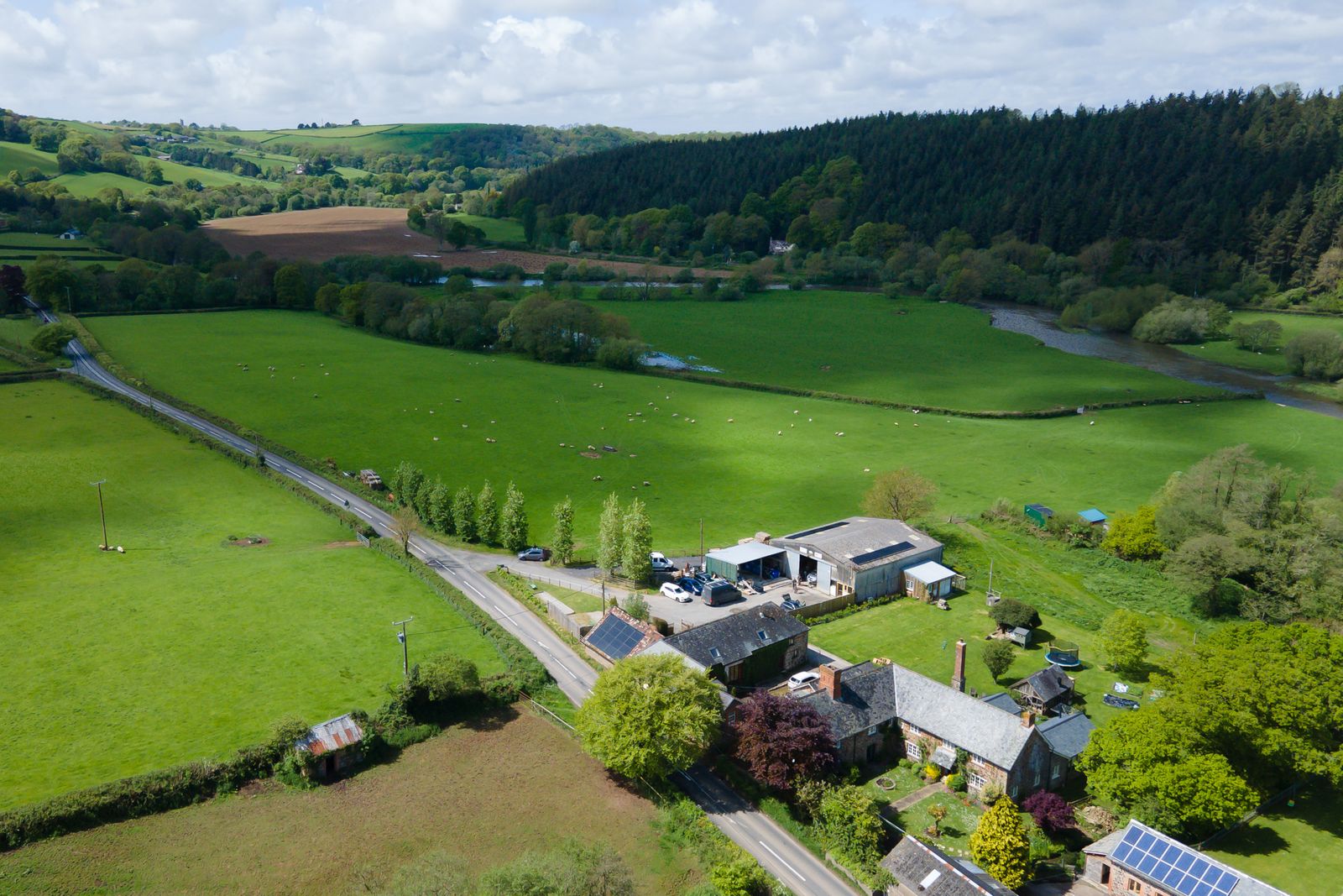 Dog walking countryside view surrounding our holiday cottage
