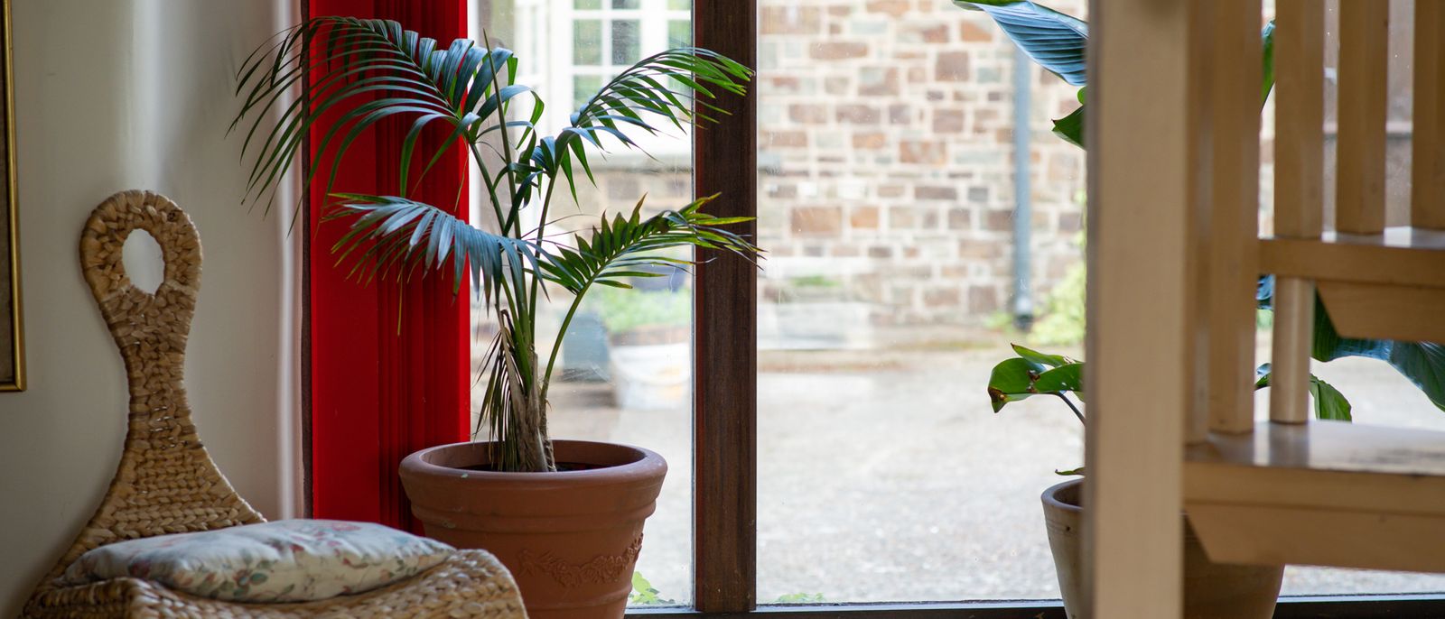 Dog friendly accommodation in North Devon